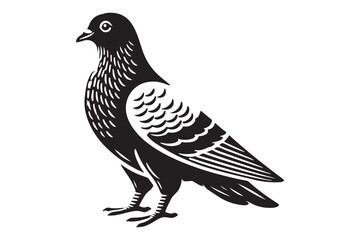Pigeon Silhouette