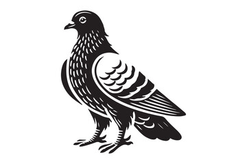 Pigeon Silhouette