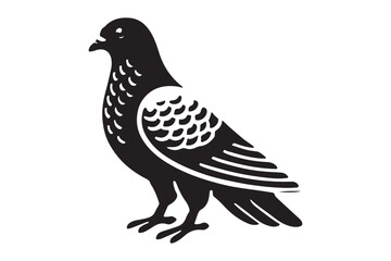 Pigeon Silhouette