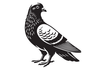 Pigeon Silhouette
