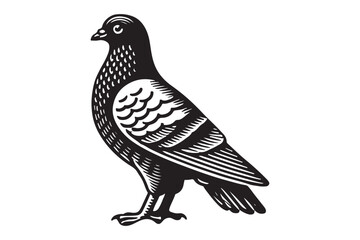 Pigeon Silhouette
