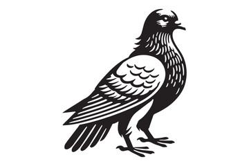 Pigeon Silhouette