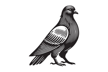 Pigeon Silhouette