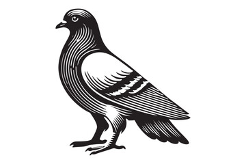 Pigeon Silhouette