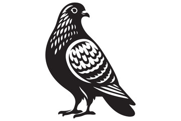 Pigeon Silhouette