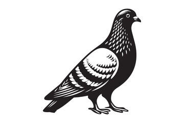 Pigeon Silhouette