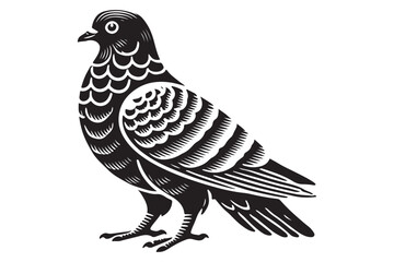 Pigeon Silhouette