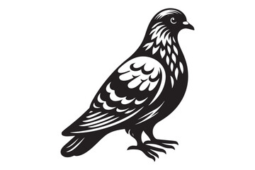 Pigeon Silhouette