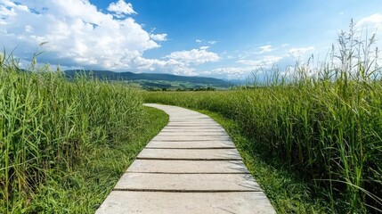 Winding boardwalk path through summer reeds, mountain backdrop, peaceful nature scene, travel brochure