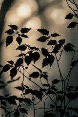 Naklejka premium A close-up shot of individual leaves in shades of gray