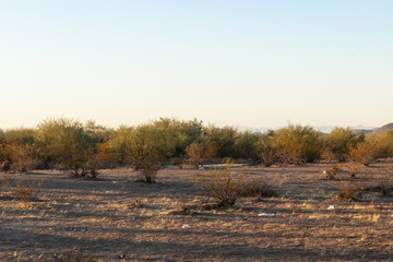 Smoke haze from California wildfire in the Sonoran Desert in Arizona filled with litter on the ground
