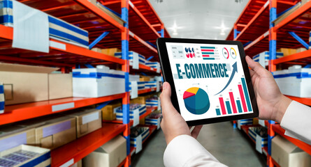 E-commerce data software provide modish dashboard for sale analysis to the online retail business