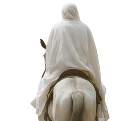 Triumphal Entry of Jesus in Jerusalem Palm Sunday Celebration with Donkey Biblical Story in Christian Faith isolated