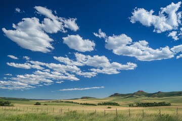 Scenic landscape of a vast, grassy field under a vibrant blue sky adorned with scattered fluffy white clouds, hills in background.