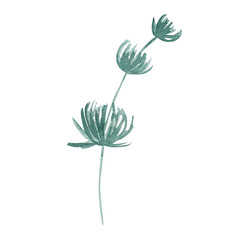 Wild flower leaf watercolor hand drawn illustration isolated on white background. Botanical painted leaf clipart. Perfect for wedding invitations, greeting cards, packaging, wrapping