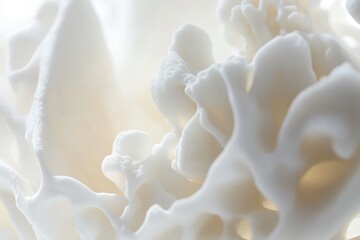 A detailed shot of a white flower