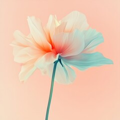 Obraz premium Beautiful floral composition with soft pastel colors and delicate petals against a pink background. Generative AI
