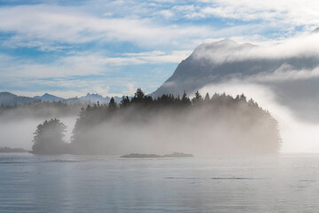 Landscape from Tofino harbour with Vancouver Island in the mist, Tofino, Vancouver Island, British Columbia, Canada.