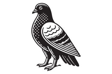 Pigeon Silhouette