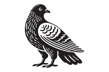 Pigeon Silhouette