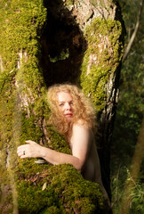 sensual, seductive beautiful mature sexy redhead woman fairy in a big hole of an old willow tree