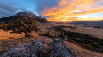 Fototapeta premium Majestic sunset over plains, lone tree, rocky outcrop. Nature photography for travel brochures