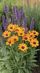 Vibrant Orange Black Eyed Susans and Purple Lavender Garden Flowers