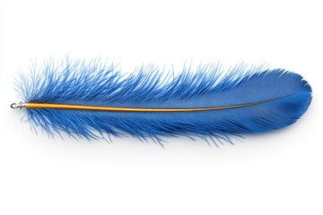 Vibrant blue feather with intricate details against a clean white background, showcasing its texture