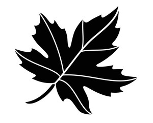Maple leaf plant element - vector silhouette image for stencil, logo or pictogram. Maple leaf for sign, icon or stencil	