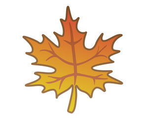 Naklejka premium Maple leaf - vector full color illustration. Autumn orange maple leaf. 