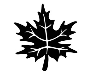 Maple Leaf - Black vector silhouette for stencil, pictogram or logo. Maple leaf silhouette - sign or icon.	