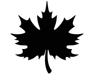 Maple leaf plant element - vector silhouette image for stencil, logo or pictogram. Maple leaf for sign, icon or stencil	
