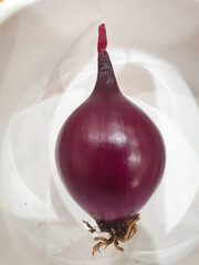 Red onion in a bowl.