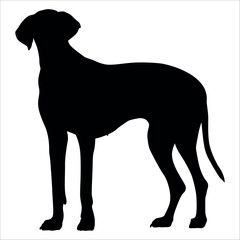 Black Animal Dog Silhouettes Vector illustration