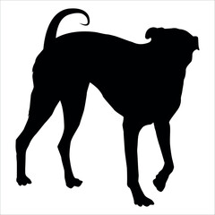 Black Animal Dog Silhouettes Vector illustration