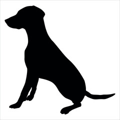 Black Animal Dog Silhouettes Vector illustration