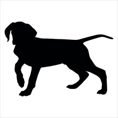 Black Animal Dog Silhouettes Vector illustration