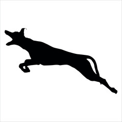 Black Animal Dog Silhouettes Vector illustration