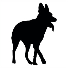 Black Animal Dog Silhouettes Vector illustration