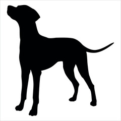 Black Animal Dog Silhouettes Vector illustration
