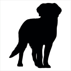 Black Animal Dog Silhouettes Vector illustration