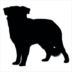 Black Animal Dog Silhouettes Vector illustration