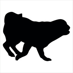 Black Animal Dog Silhouettes Vector illustration