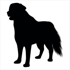 Black Animal Dog Silhouettes Vector illustration