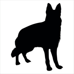 Black Animal Dog Silhouettes Vector illustration