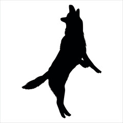 Black Animal Dog Silhouettes Vector illustration
