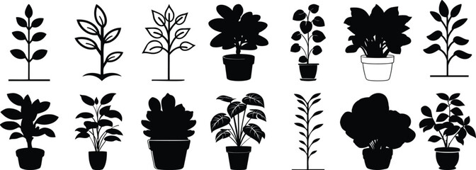 Plant silhouettes set, flower pack of vector silhouette design, isolated background