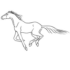 Galloping horse - vector linear image. Outline. Graceful thoroughbred horse galloping image for stencil.