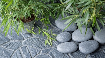 Zen Garden Stones and Bamboo Plants on Slate