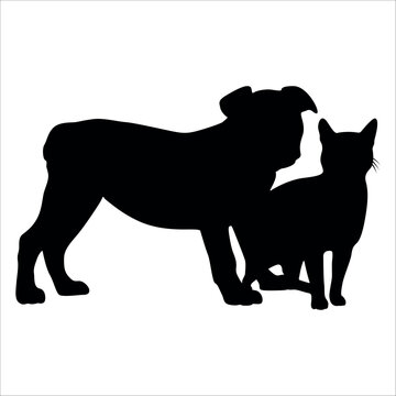 Animal Dog and Cat Bonding vector illustration